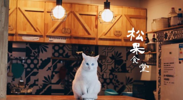 大理の人気安宿ドミトリー3選を本気の辛口レビュー！